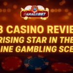 8K8 Casino Review: A Rising Star in the Online Gambling Scene