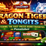 Dragon Tiger & Tongits Mastering the Fast-Paced Asian Favorites on Panalobet